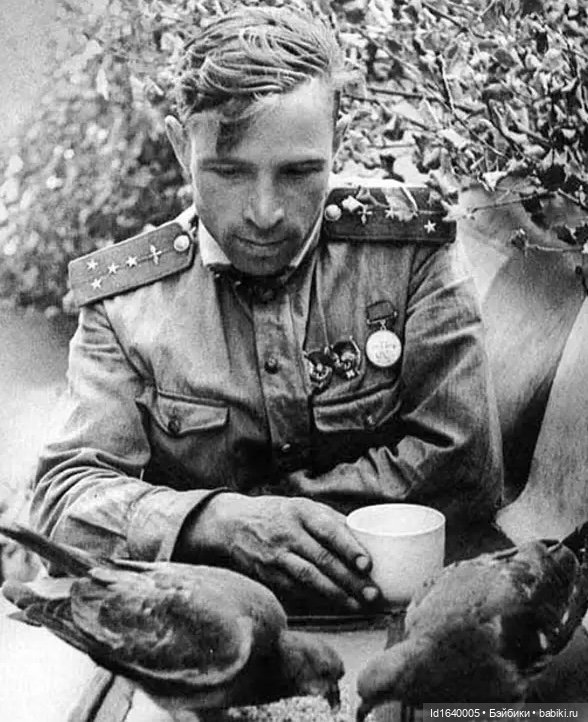 "В этой роще берёзовой". Поезда Победы. О птицах и войне