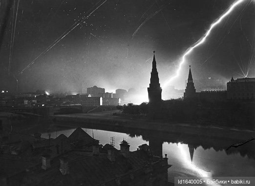 "В этой роще берёзовой". Поезда Победы. О птицах и войне (фото 5)