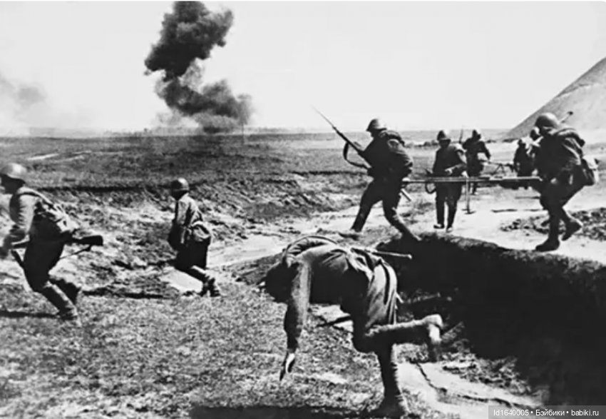 "В этой роще берёзовой". Поезда Победы. О птицах и войне