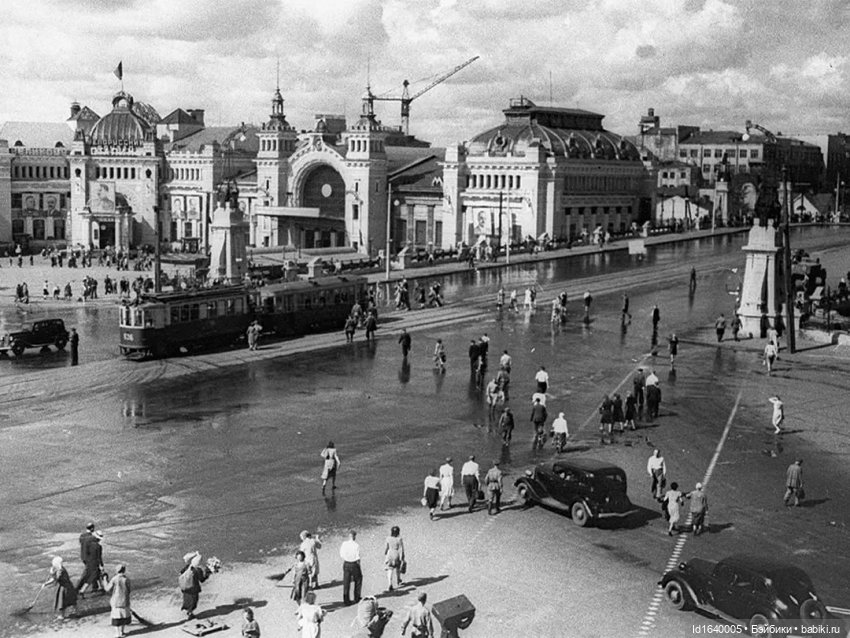 "В этой роще берёзовой". Поезда Победы. О птицах и войне