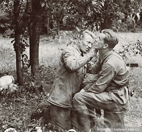 "В этой роще берёзовой". Поезда Победы. О птицах и войне