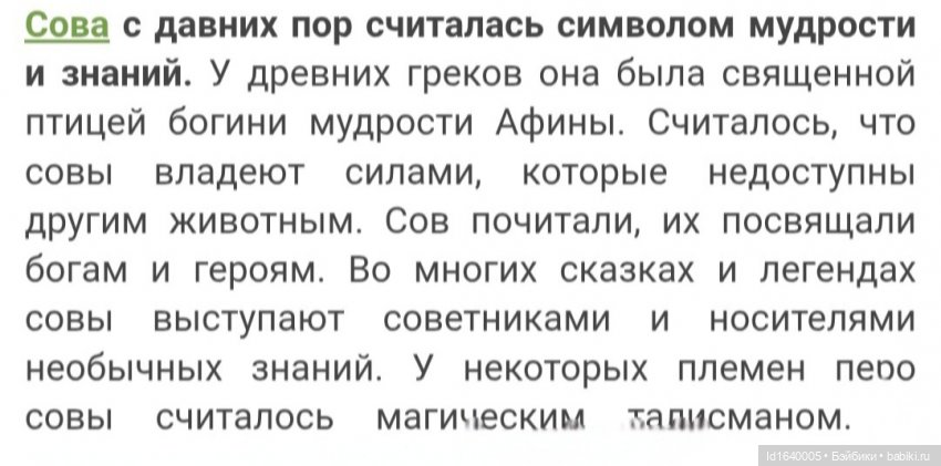 Драма на "охоте" или В гостях у совушек Продолжение (фото 3)