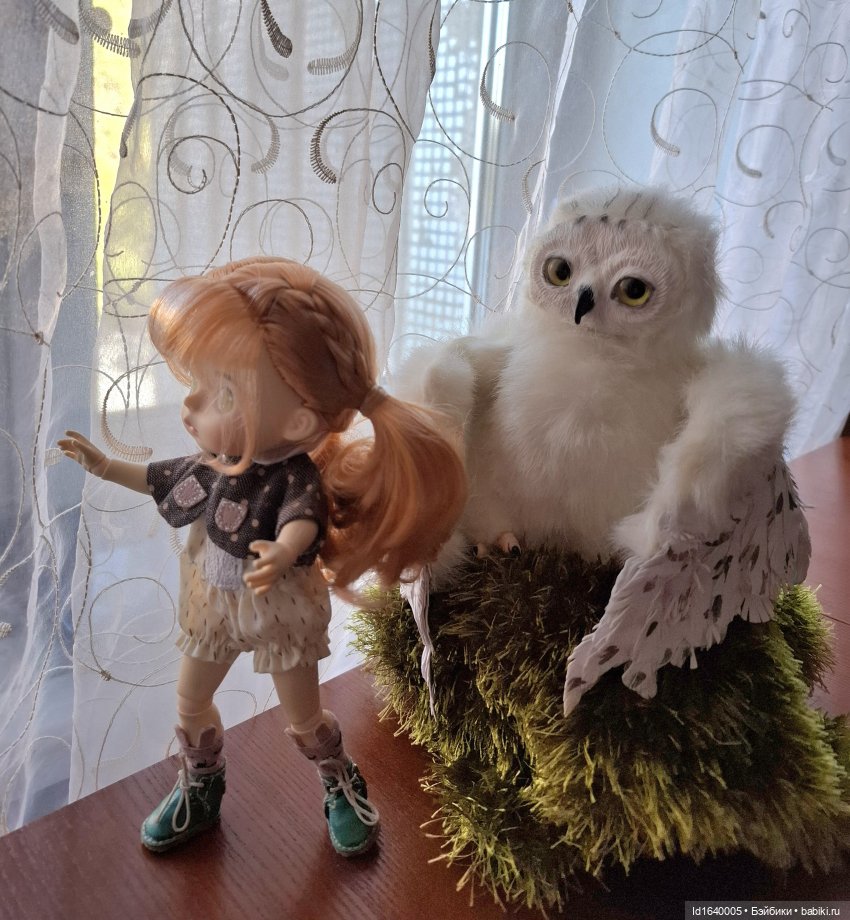 Драма на "охоте" или В гостях у совушек (фото 3)