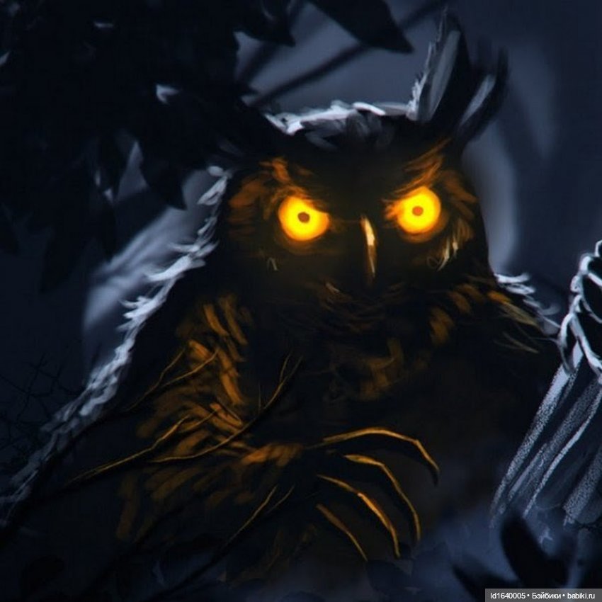 Драма на "охоте" или В гостях у совушек