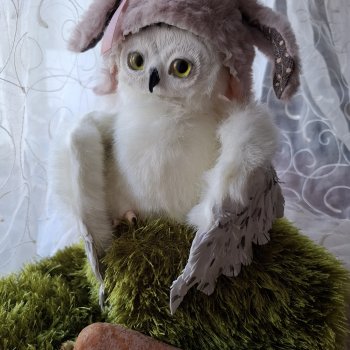 Драма на "охоте" или В гостях у совушек Продолжение