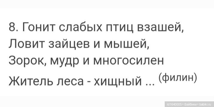 Драма на "охоте" или В гостях у совушек (фото 9)