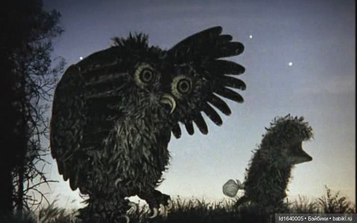 Драма на "охоте" или В гостях у совушек (фото 8)