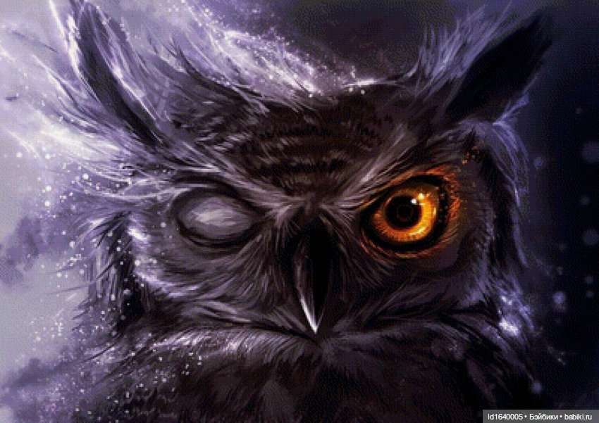 Драма на "охоте" или В гостях у совушек (фото 10)