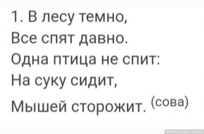Драма на "охоте" или В гостях у совушек (фото 5)