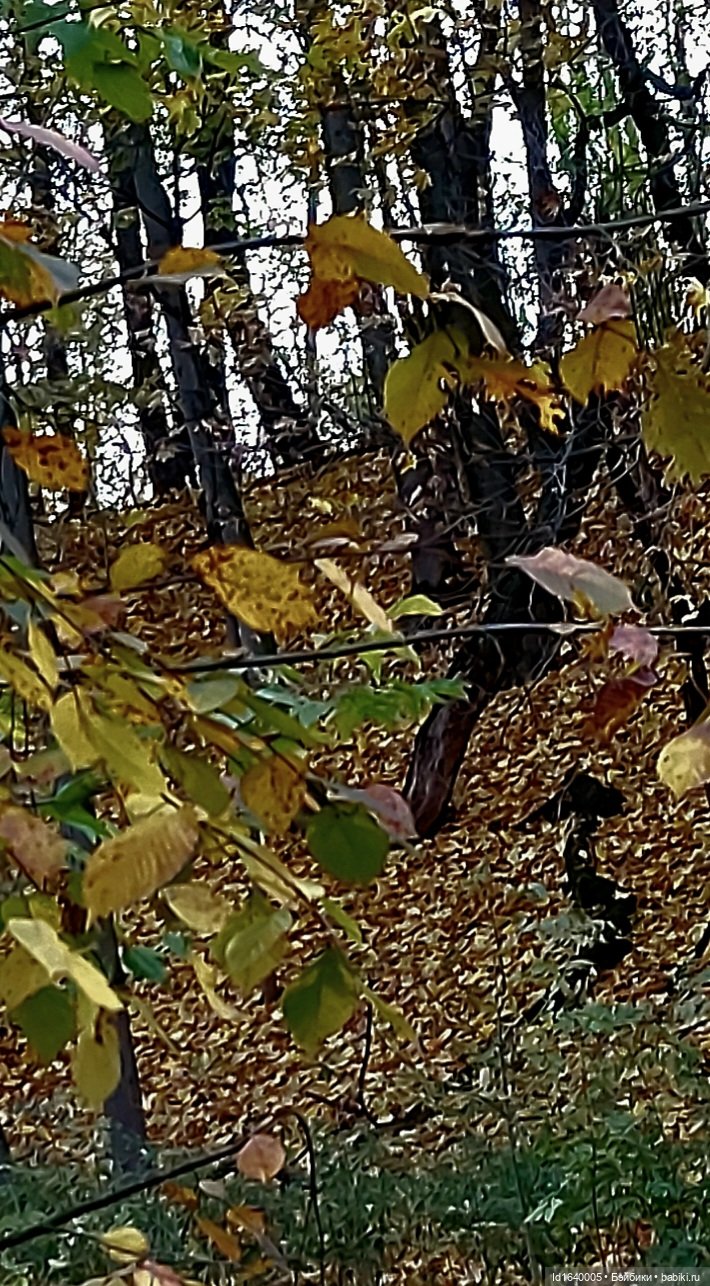 Потерялась девочка. Не встречали