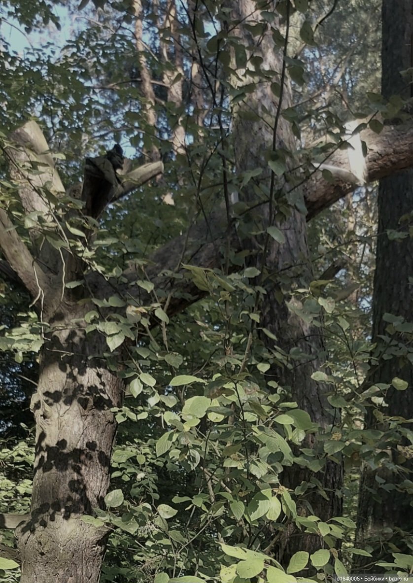 Потерялась девочка. Не встречали