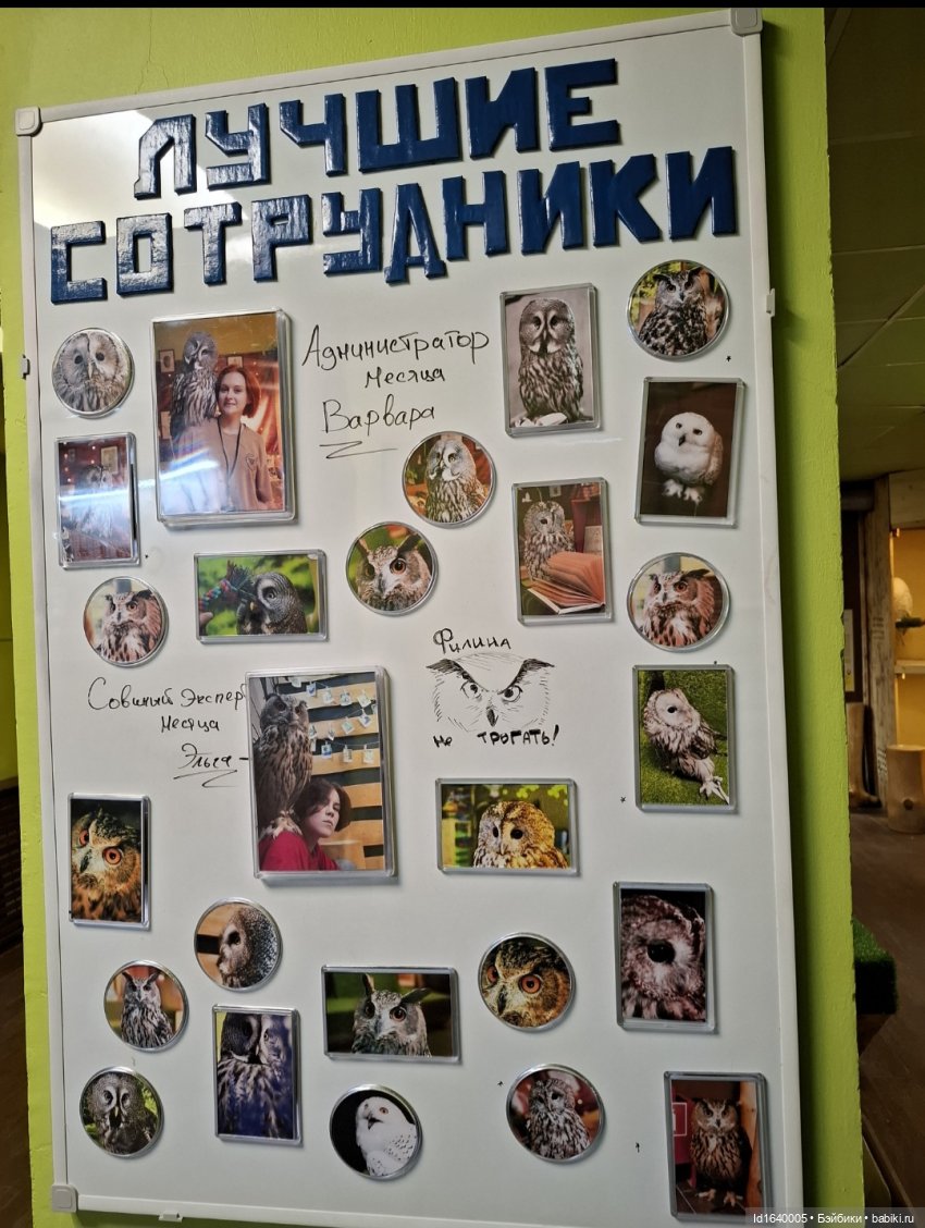 Драма на "охоте" или В гостях у совушек Продолжение