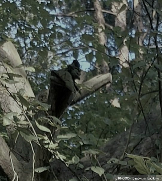 Потерялась девочка. Не встречали