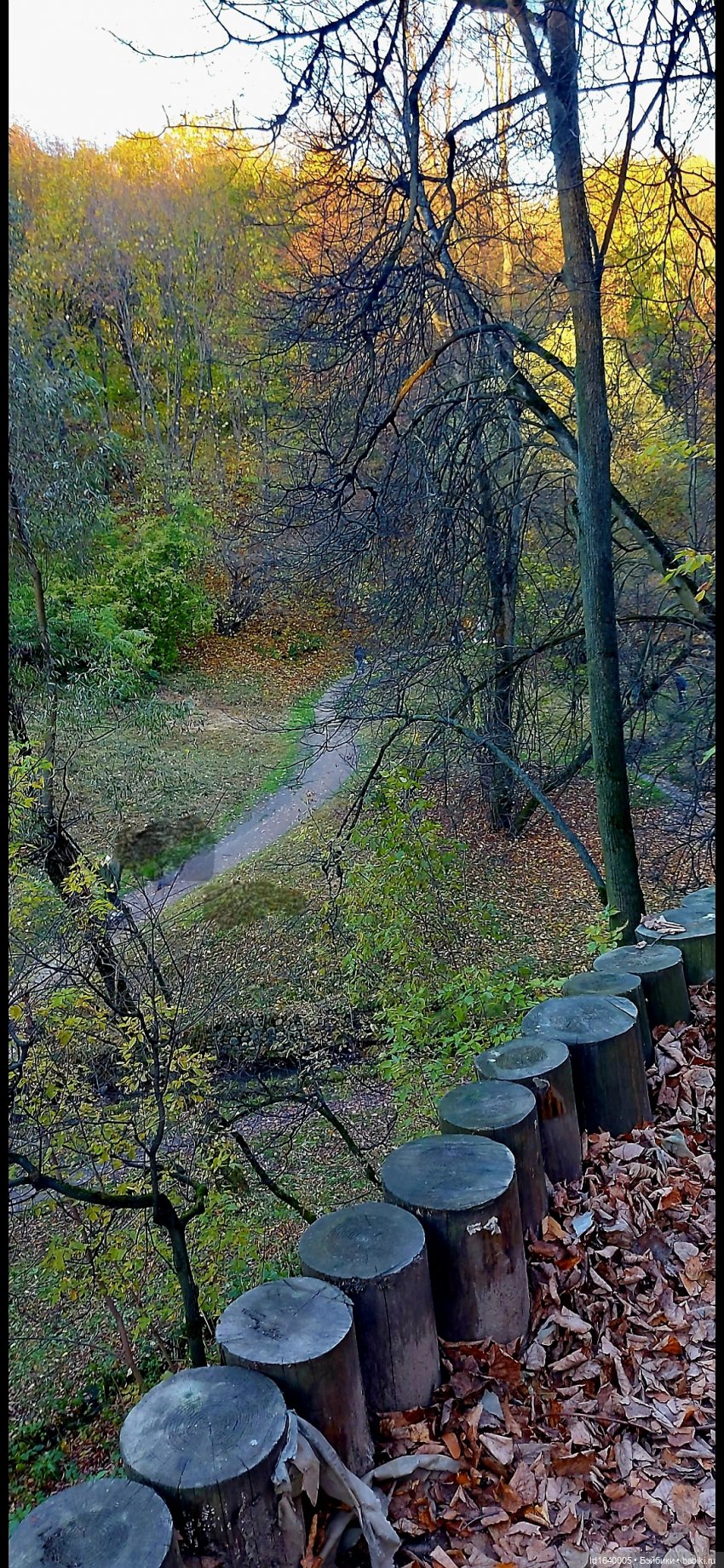 Потерялась девочка. Не встречали