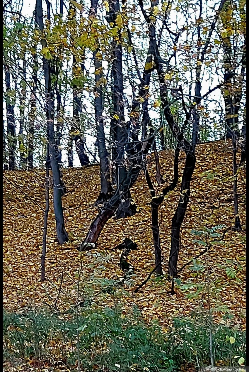 Потерялась девочка. Не встречали