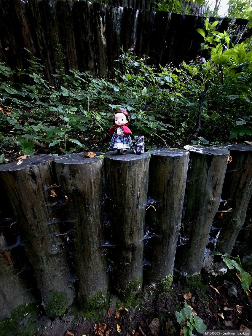 Потерялась девочка. Не встречали