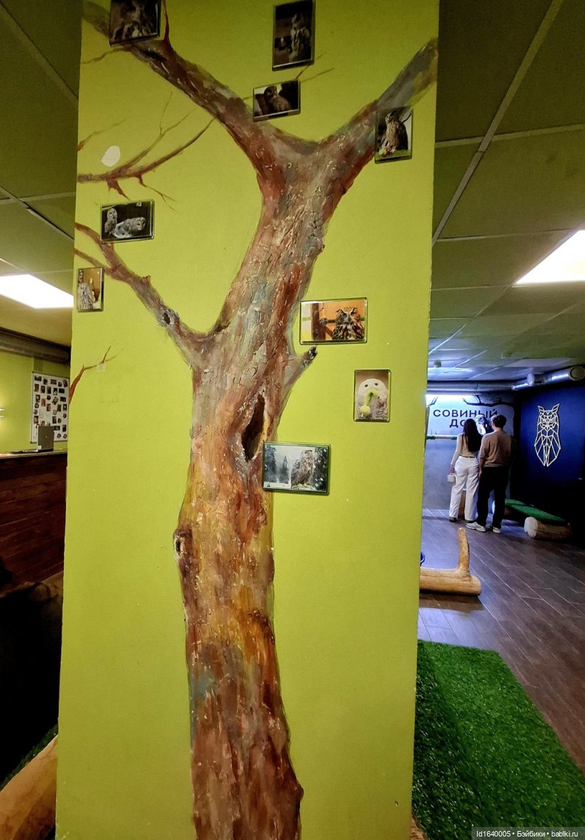 Драма на "охоте" или В гостях у совушек Продолжение (фото 6)