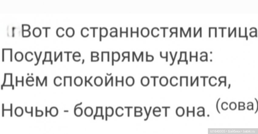 Драма на "охоте" или В гостях у совушек Продолжение