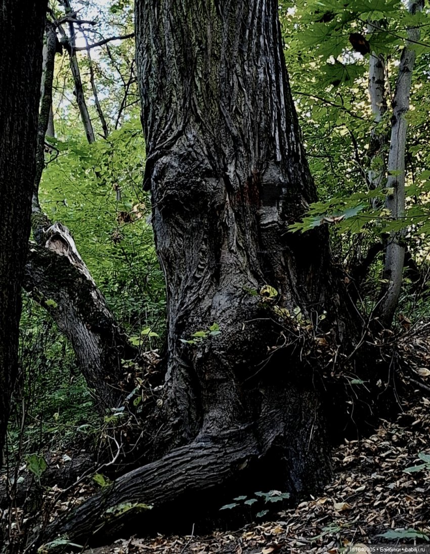 Потерялась девочка. Не встречали