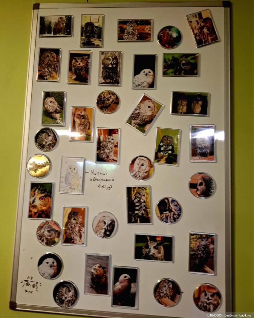 Драма на "охоте" или В гостях у совушек Продолжение