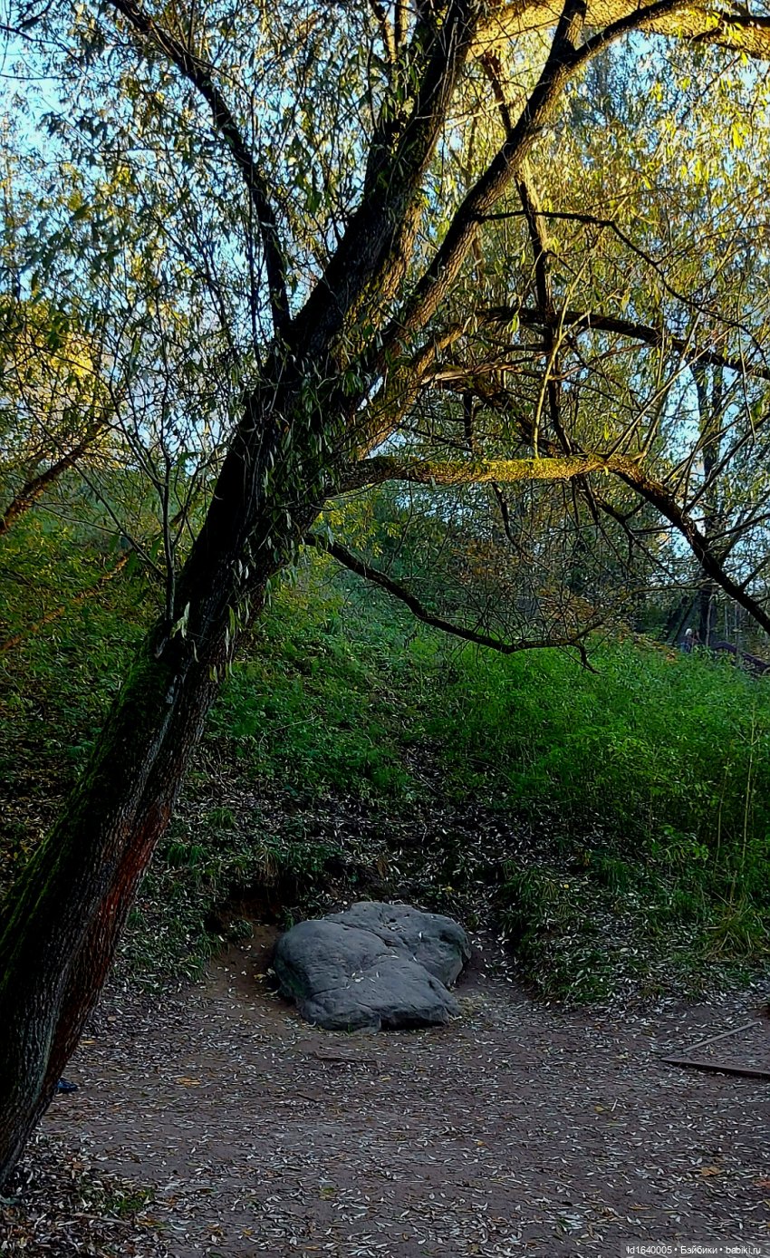 Потерялась девочка. Не встречали