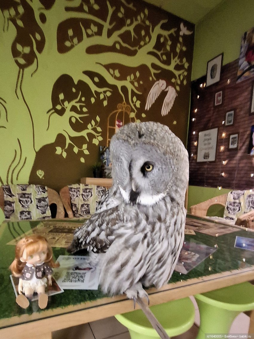 Драма на "охоте" или В гостях у совушек Продолжение