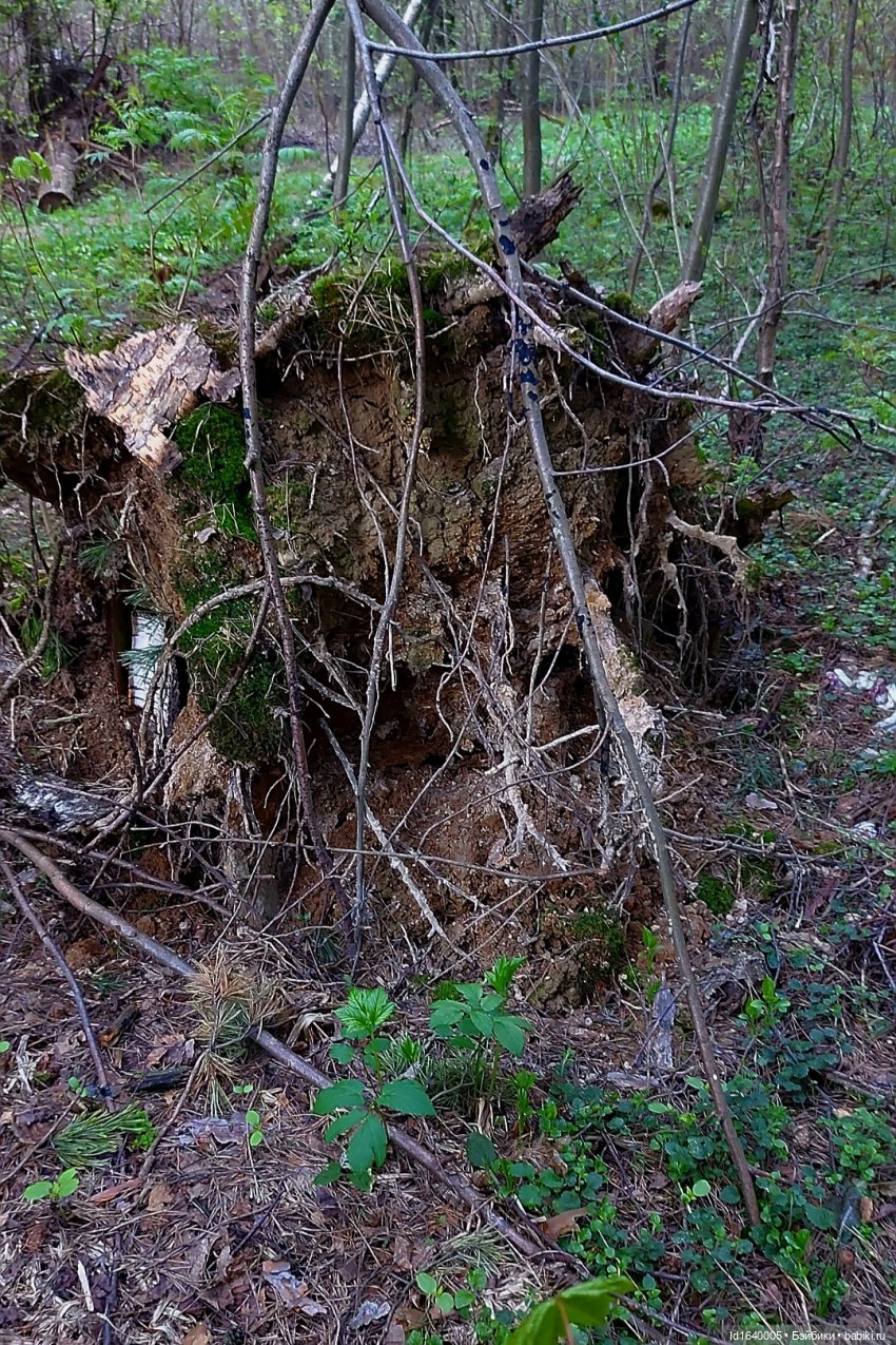 Потерялась девочка. Не встречали
