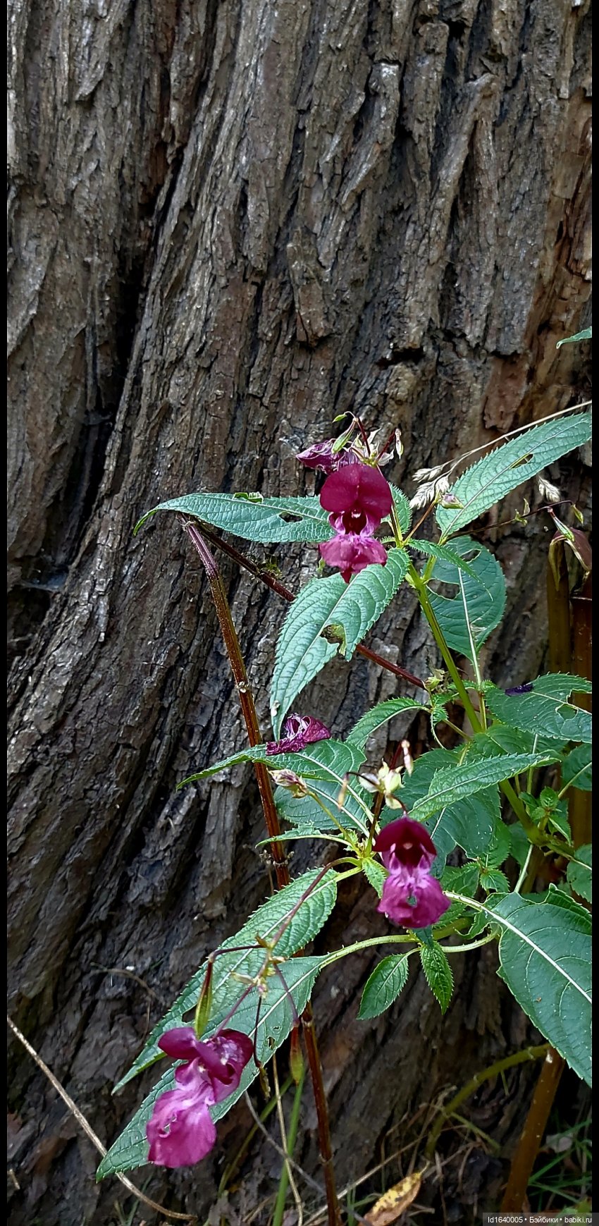 Потерялась девочка. Не встречали