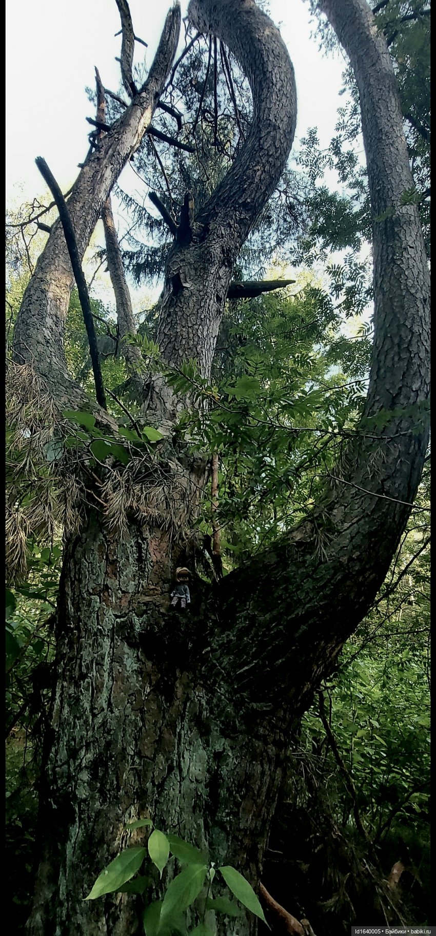 Потерялась девочка. Не встречали