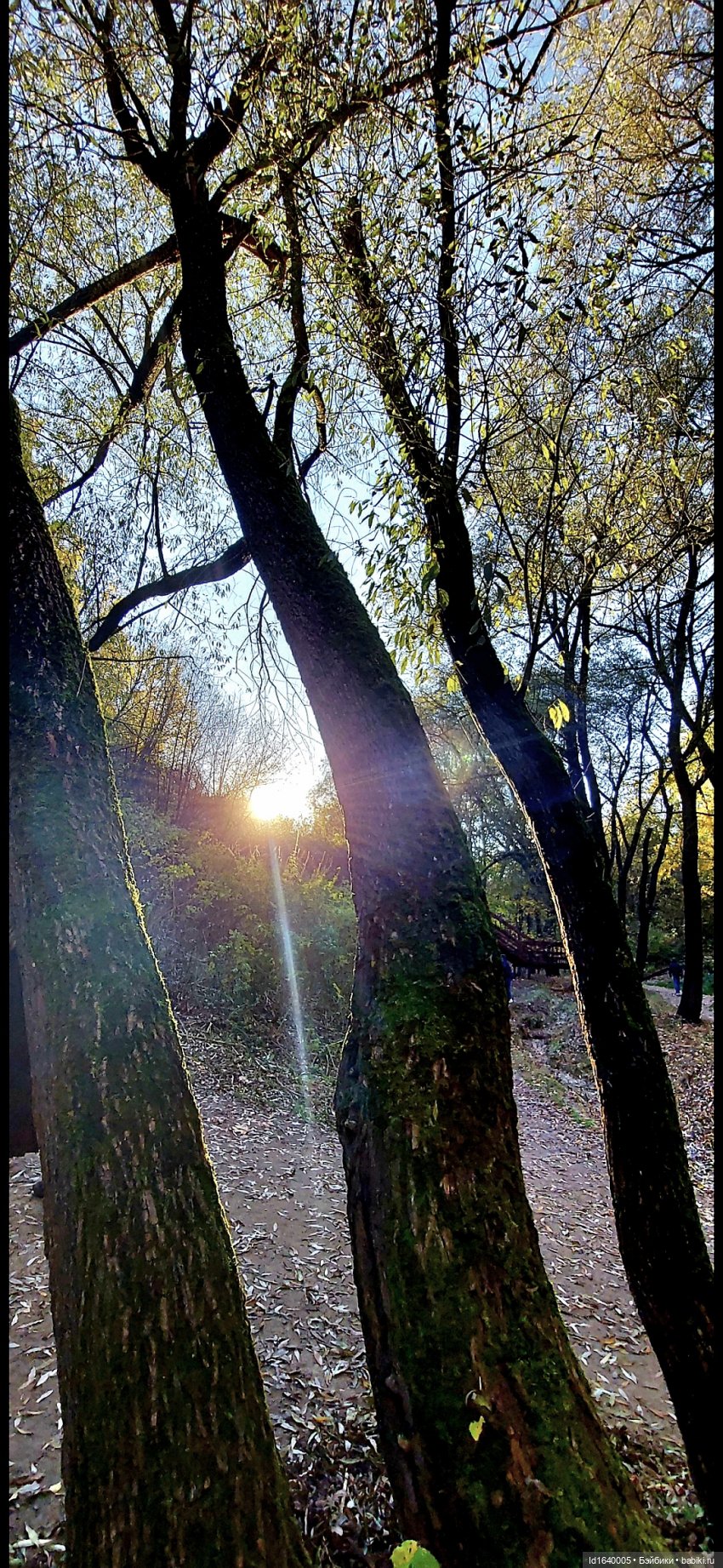 Потерялась девочка. Не встречали (фото 9)