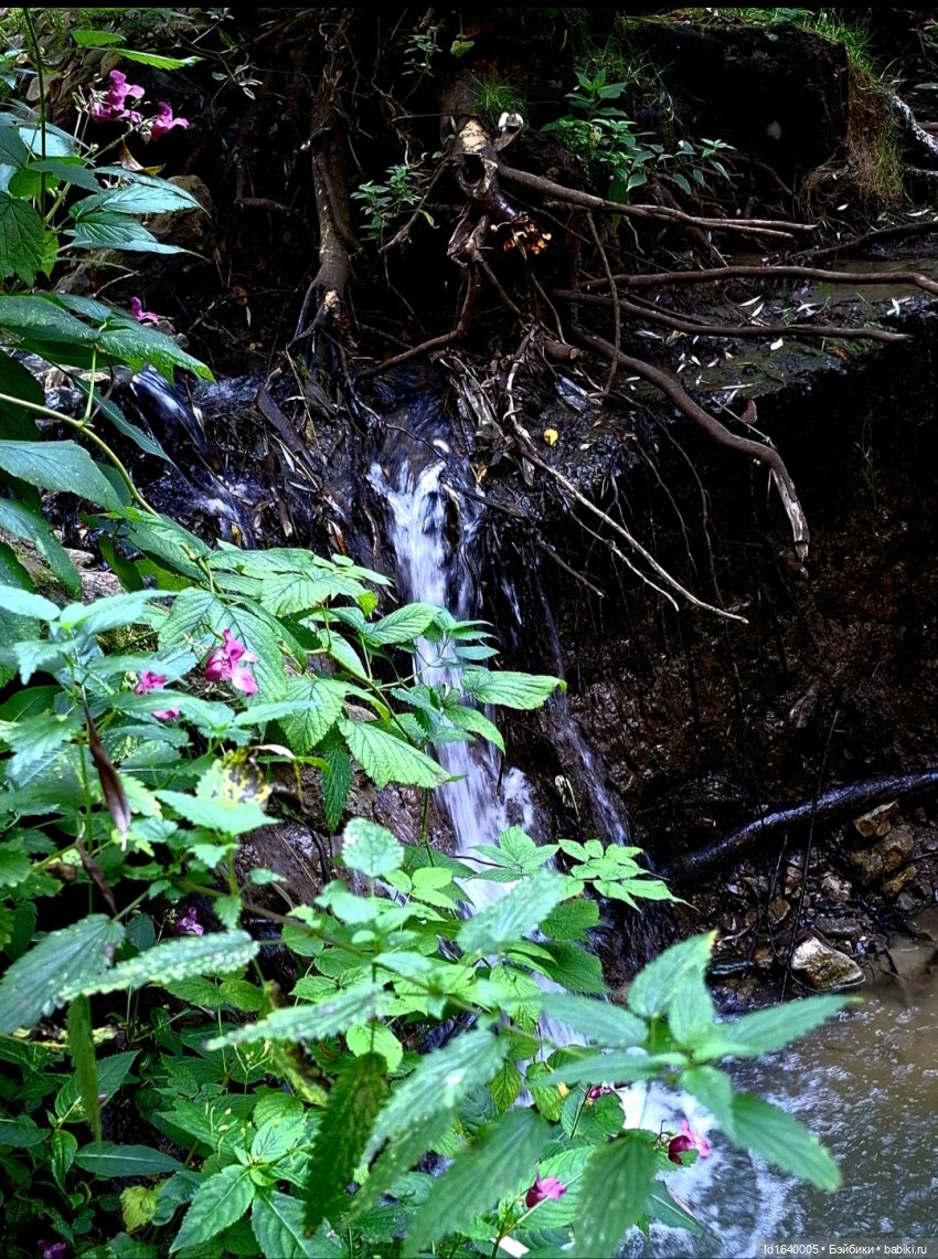 Потерялась девочка. Не встречали