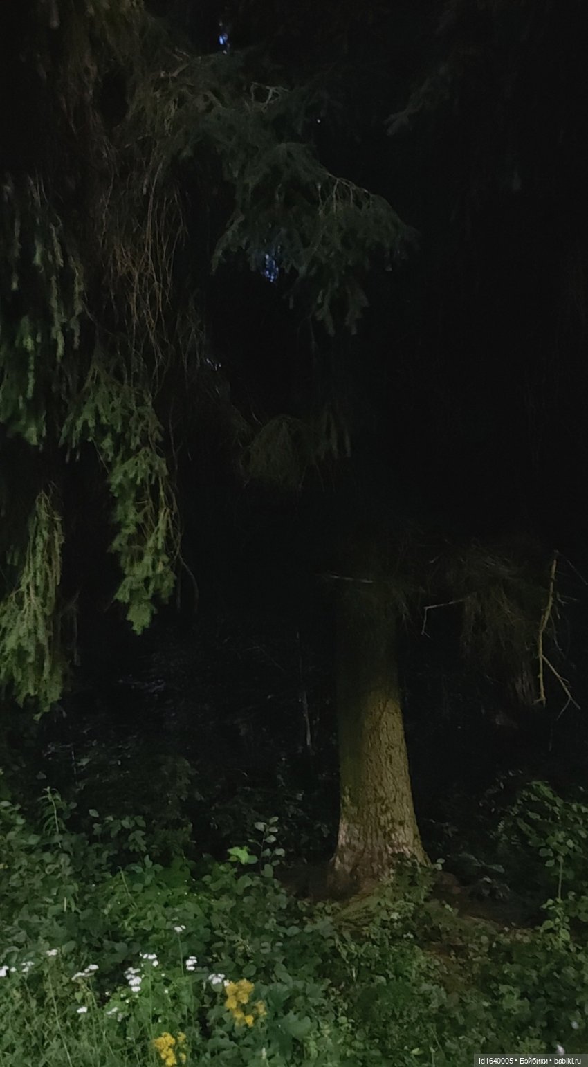 Потерялась девочка. Не встречали