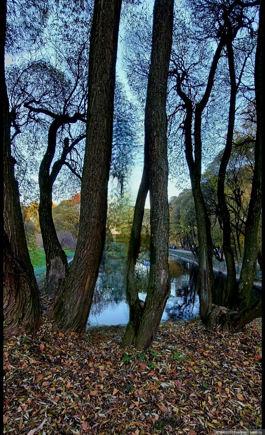 Потерялась девочка. Не встречали