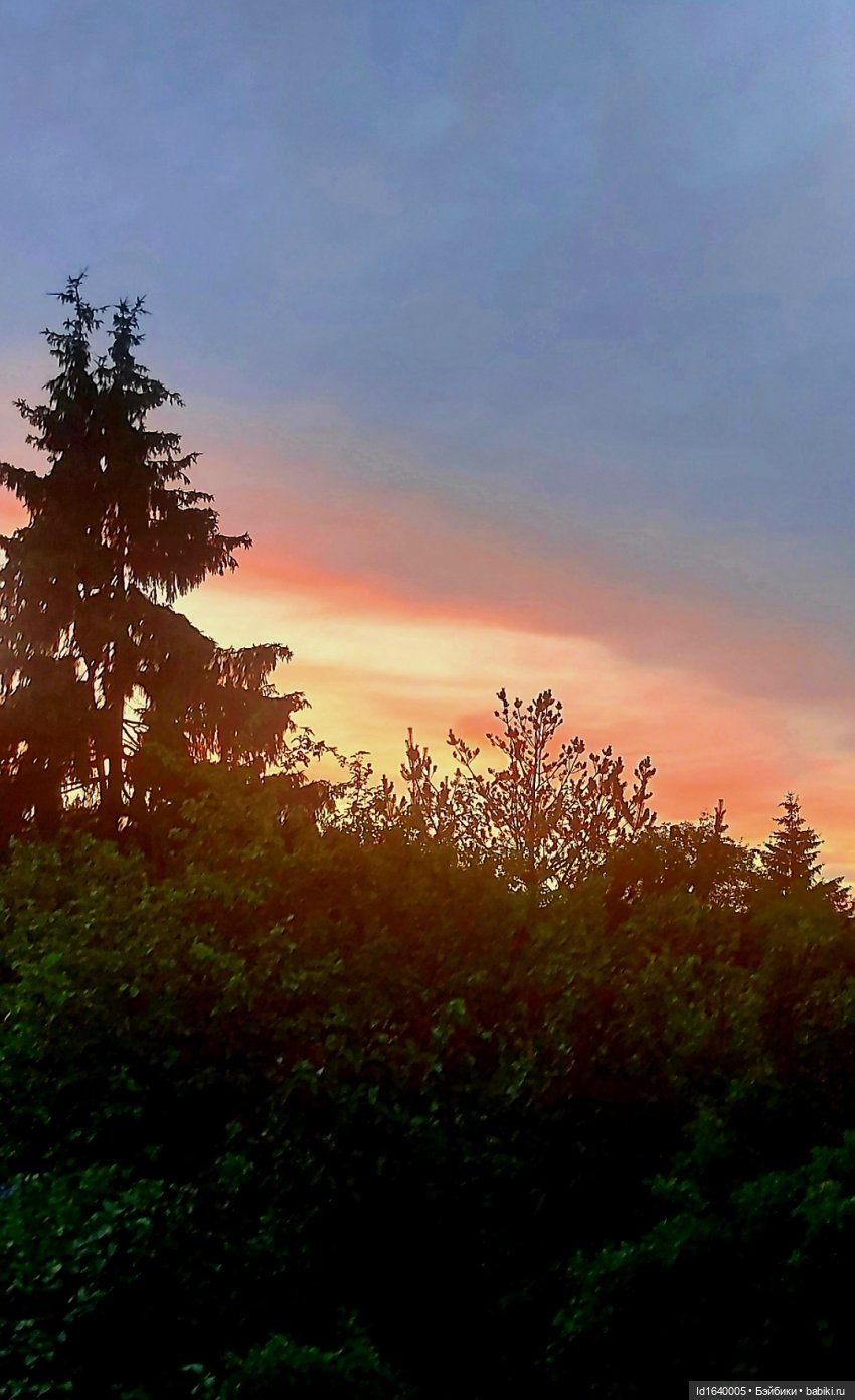 Потерялась девочка. Не встречали (фото 10)