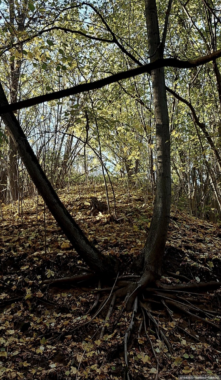 Потерялась девочка. Не встречали