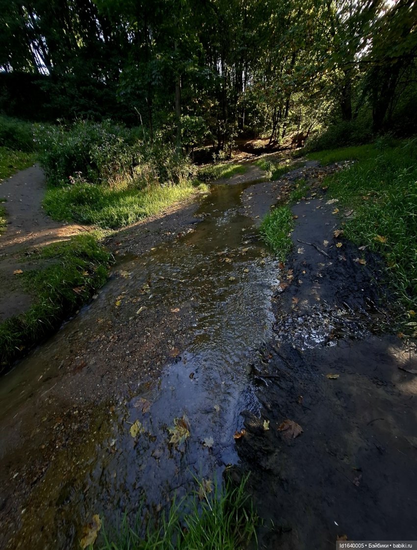 Потерялась девочка. Не встречали (фото 5)