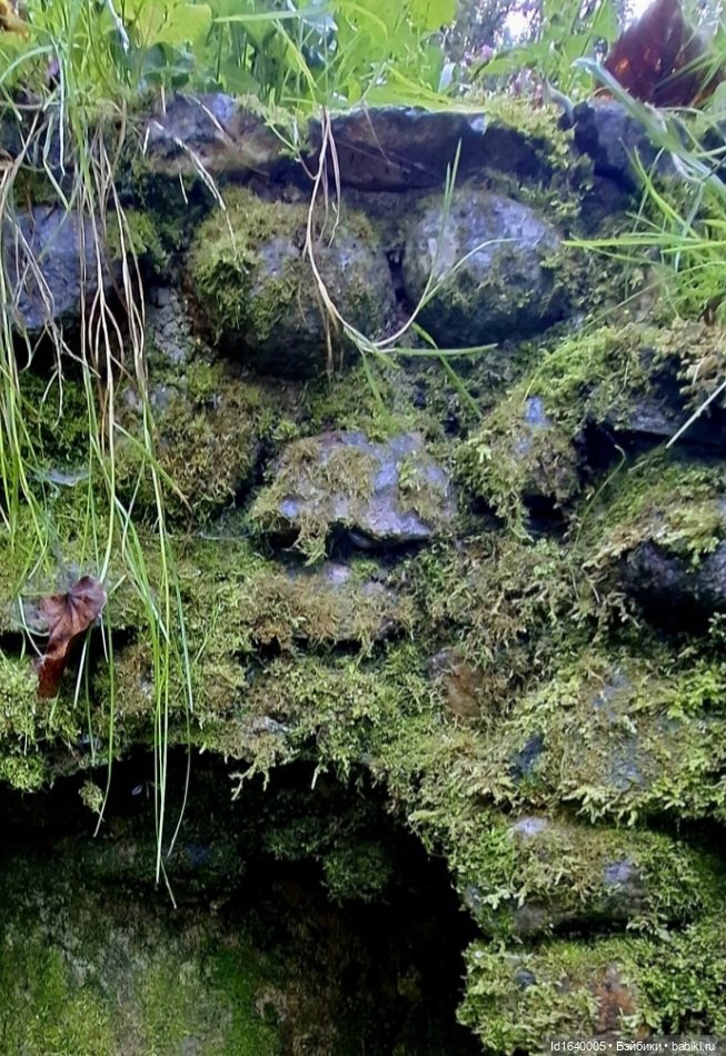 Потерялась девочка. Не встречали