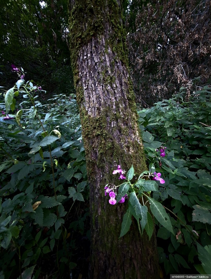 Потерялась девочка. Не встречали