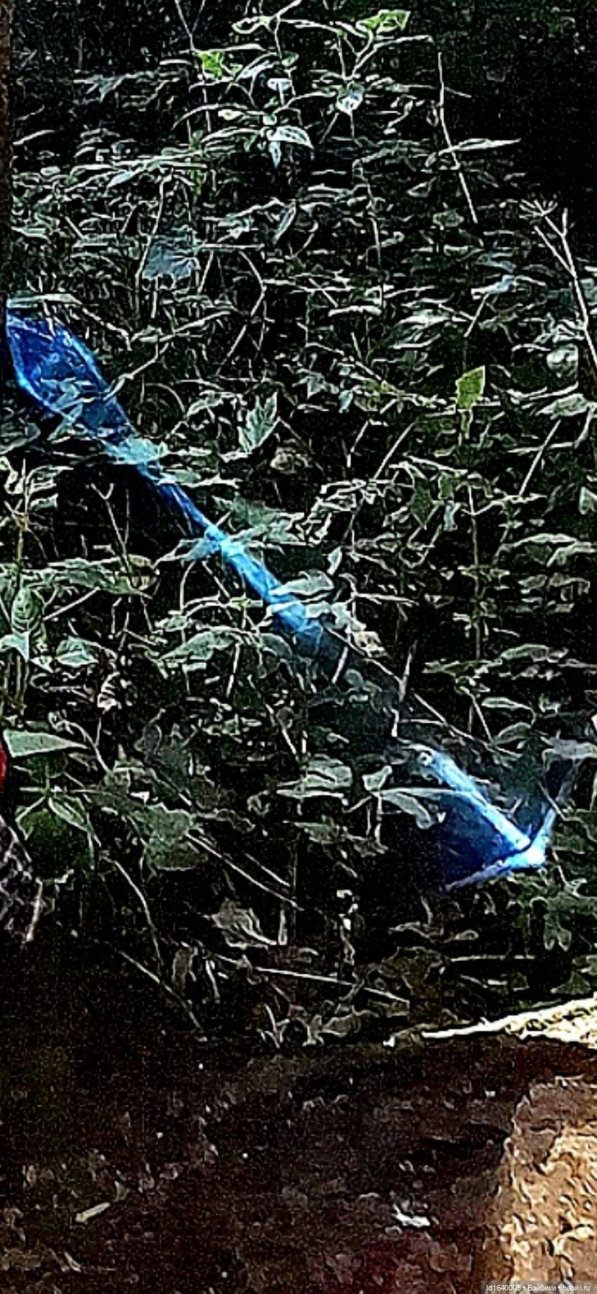 Потерялась девочка. Не встречали