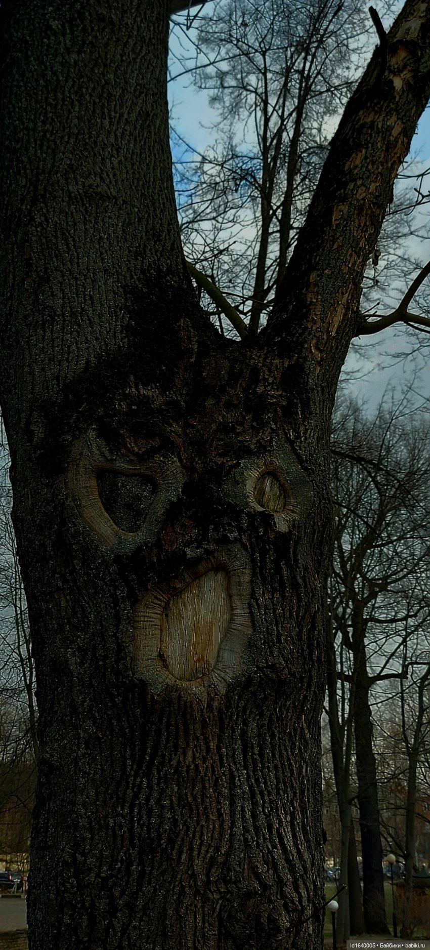 Потерялась девочка. Не встречали