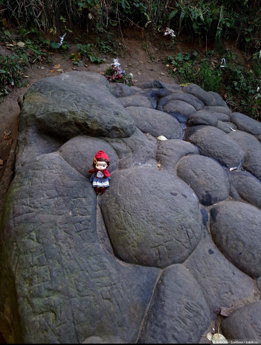 Потерялась девочка. Не встречали