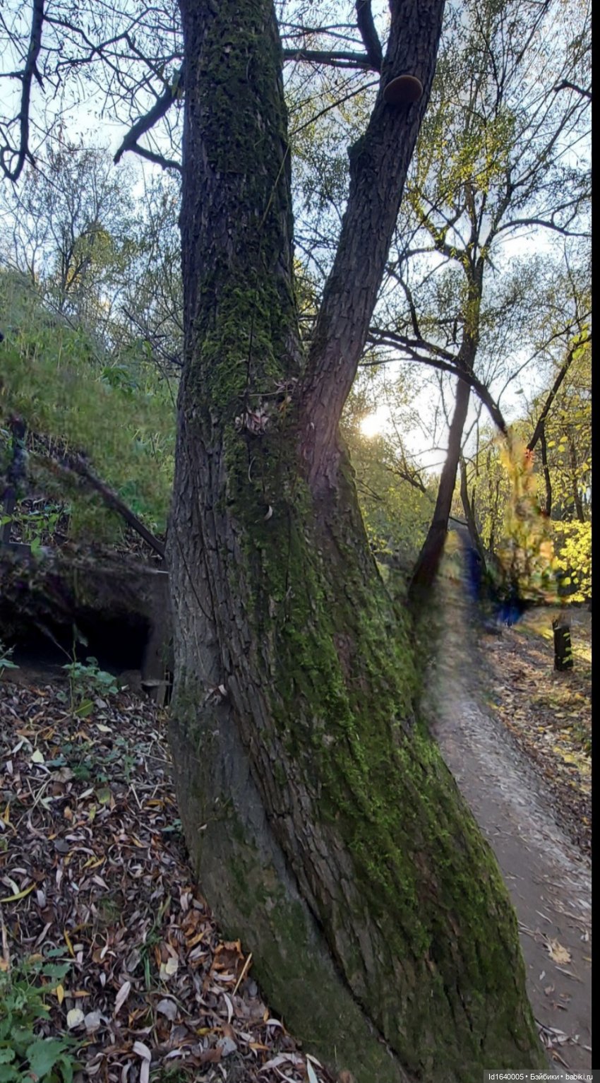 Потерялась девочка. Не встречали