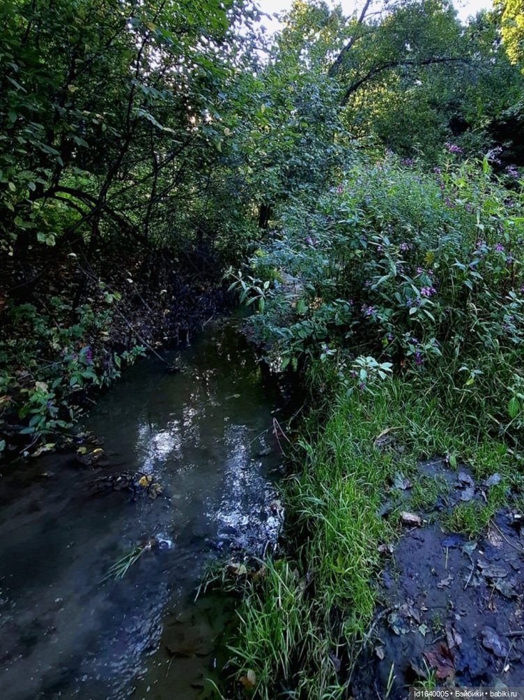 Потерялась девочка. Не встречали (фото 2)