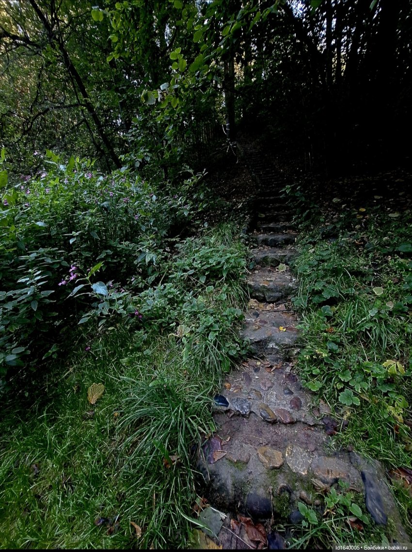 Потерялась девочка. Не встречали