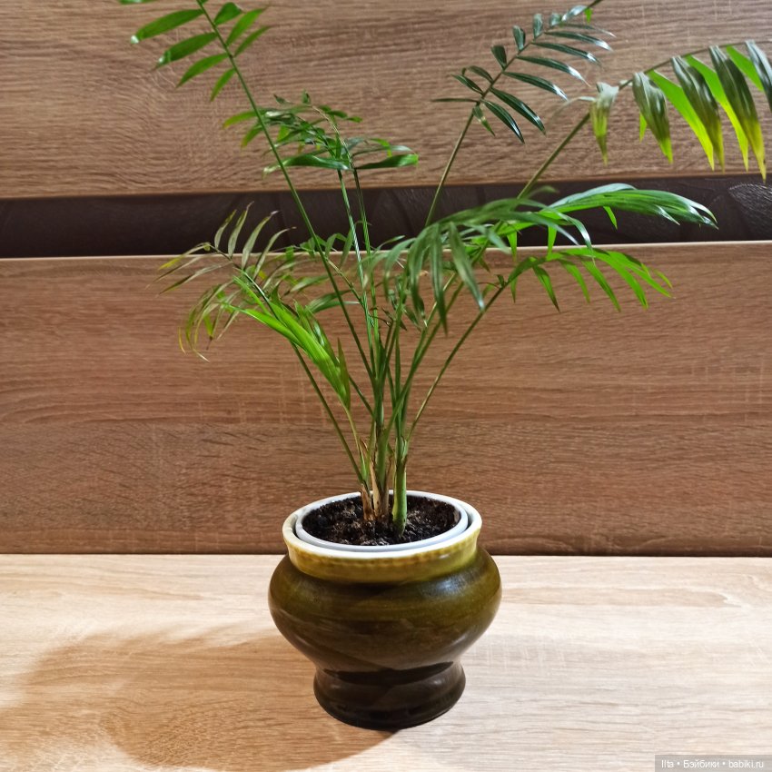 Жизнь за кадром. Джейн Эйр