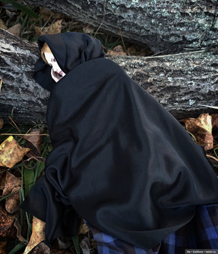 Джейн Эйр. Скитания — Кукольные фотоистории и сериалы: комиксы (фото 10)