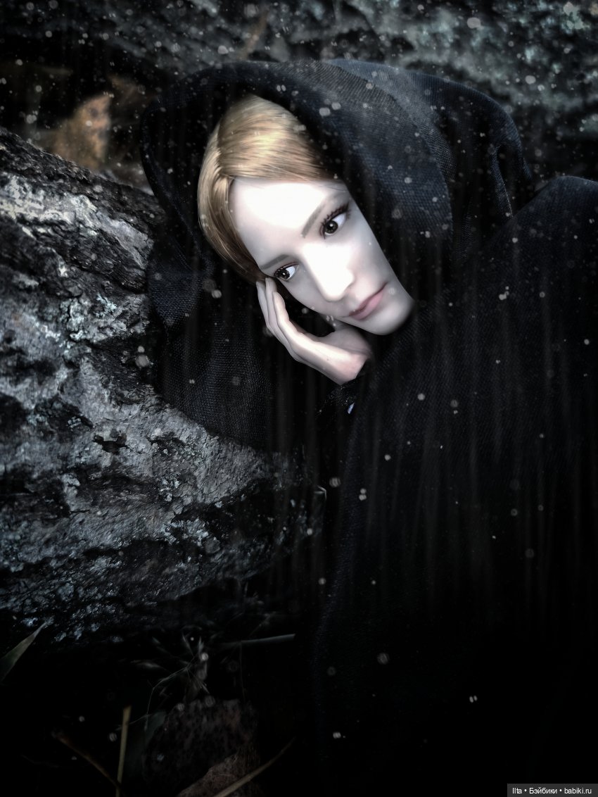 Джейн Эйр. Скитания — Кукольные фотоистории и сериалы: комиксы