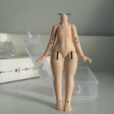 Бжд тело формата 1/12