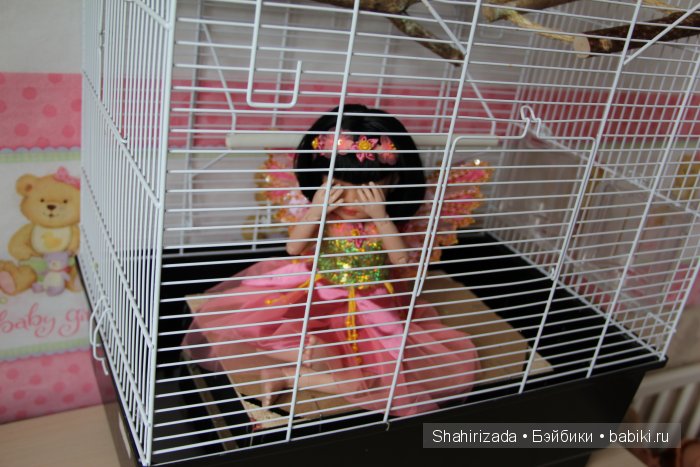 Встреча с феей... Кукла гибрид Паола Рейна, Джолина