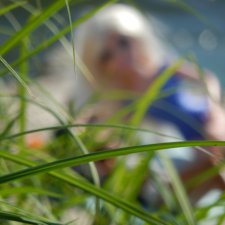 Воспоминание о летних жарких днях